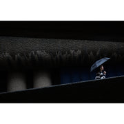 Panasonic Lumix S 40mm f/2 Lens