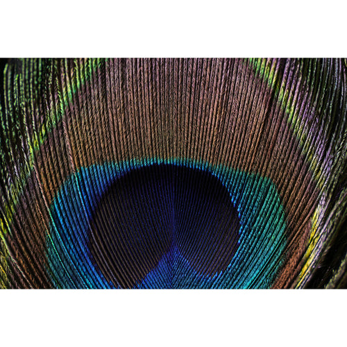 Sony FE 100mm f/2.8 GM Macro OSS Lens