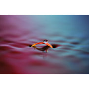 Sony FE 100mm f/2.8 GM Macro OSS Lens