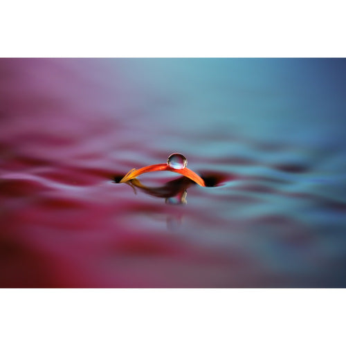 Sony FE 100mm f/2.8 GM Macro OSS Lens