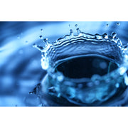 Sony FE 100mm f/2.8 GM Macro OSS Lens