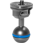 Kondor Blue Ball Head to ARRI Rosette for Magic Arms