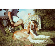 Lomo MC-A 35mm Film Camera