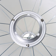 Amaran Lantern 65 (24