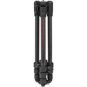 Manfrotto Befree Advanced AS Travel Tripod with 494 Center Ball Head