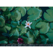 OM SYSTEM 14-42mm f/3.5-5.6 III Lens