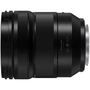 Panasonic Lumix S1 II with S 24-60mm f/2.8 Lens