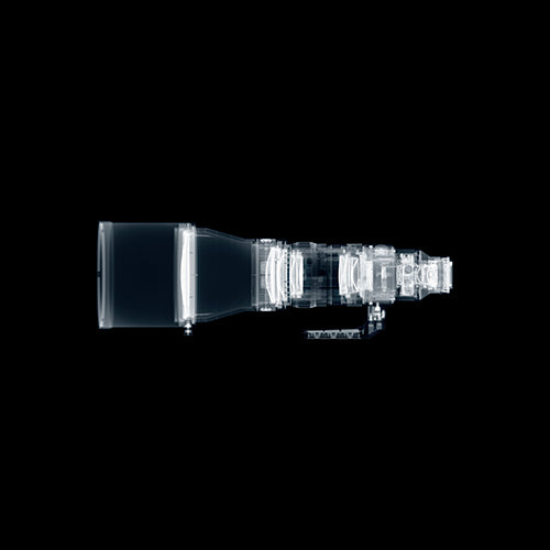 Sigma 300-600mm f/4 DG OS Sports Lens (Sony E)