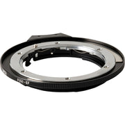Urth Lens Mount Adapter: Compatible with Nikon F (G-Type) Lens to Canon (EF / EF-S) Camera Body