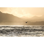 Fujifilm XF 400mm f/4.5 R LM OIS WR Lens
