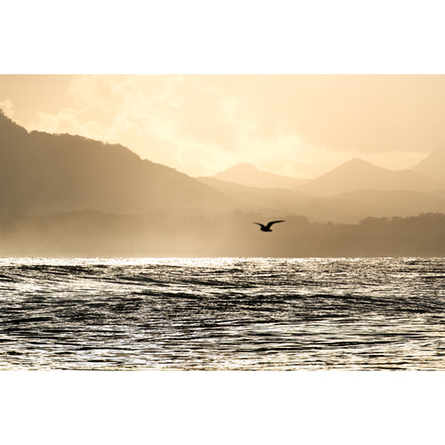 Fujifilm XF 400mm f/4.5 R LM OIS WR Lens