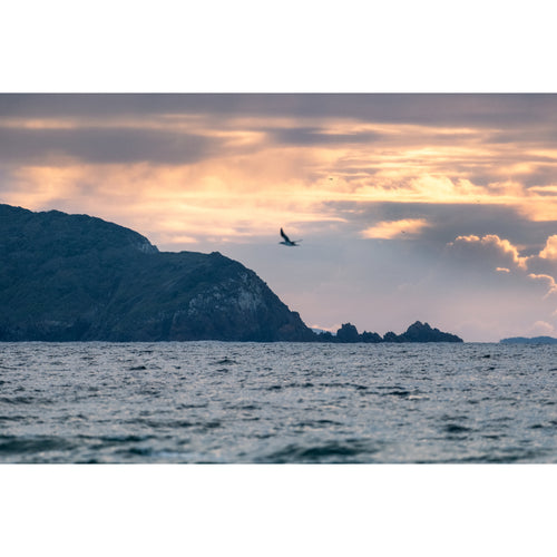 Fujifilm XF 400mm f/4.5 R LM OIS WR Lens