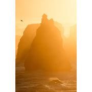 Fujifilm XF 400mm f/4.5 R LM OIS WR Lens