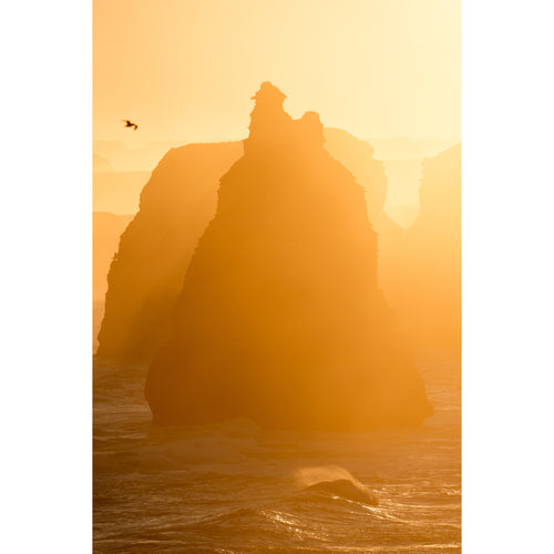 Fujifilm XF 400mm f/4.5 R LM OIS WR Lens