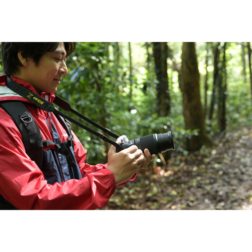 Nikon Z 30 with NIKKOR 16-50mm VR Lens Kit