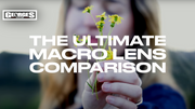 Ultimate Canon Macro Lens Comparison - Which are you grabbing?