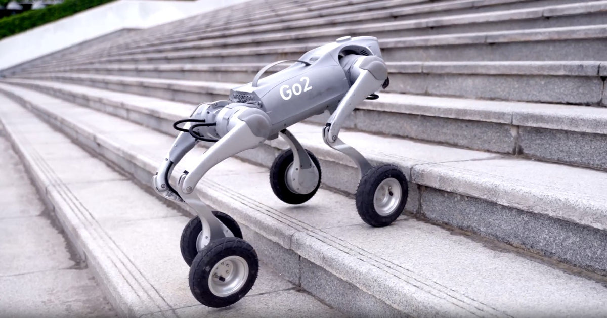 All-Terrain Robot Dog for STEM Learning