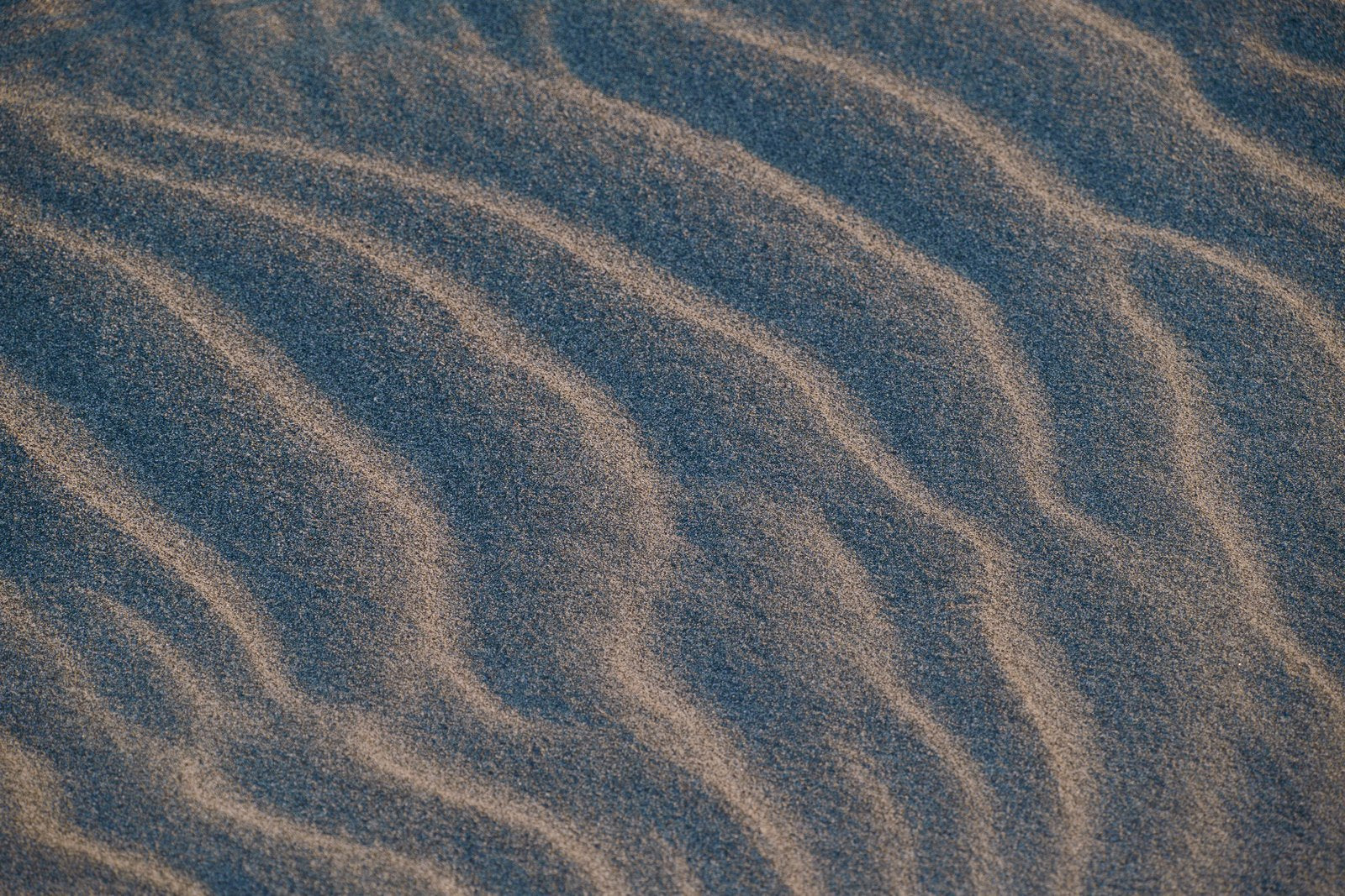 Captured with the Sigma FP2 by Miyashita Naoki