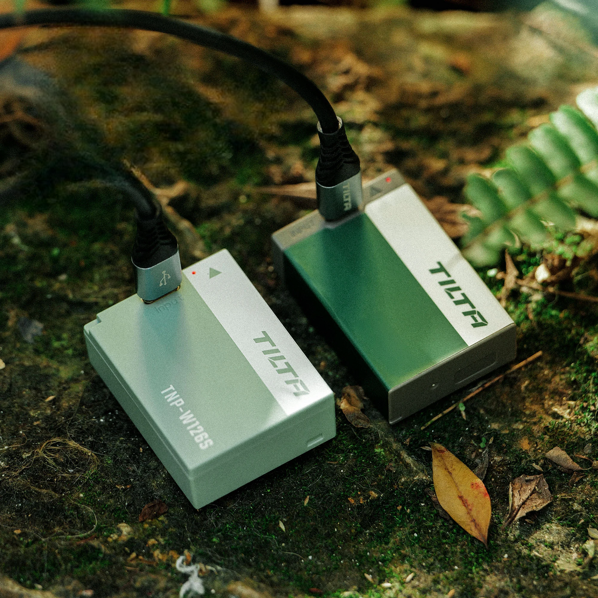 Energy Companion