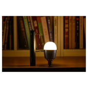 Godox KnowLED RGB LED Bulb