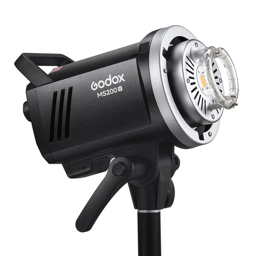 Godox MS 200-V 2 Head Octa Softbox & Stand Kit
