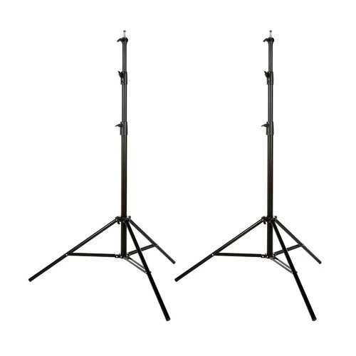 Godox MS 200-V 2 Head Octa Softbox & Stand Kit