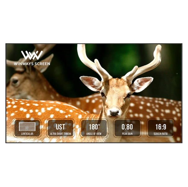 Winways UST Throw ALR Fixed Frame Lenticular Screen