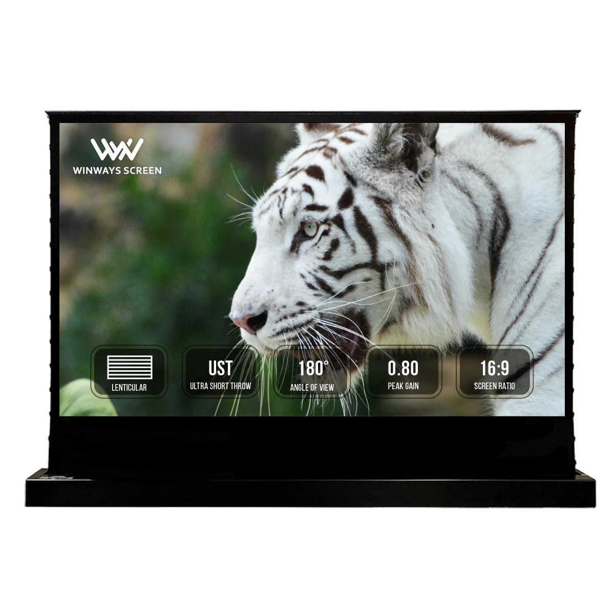 Resting Screen Winways UST Throw ALR Electric Lenticular Floor Rising Screen – Georges ...