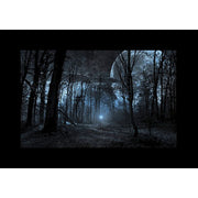Godox AK-S02 Slide For AK-R21 Projection Attachment