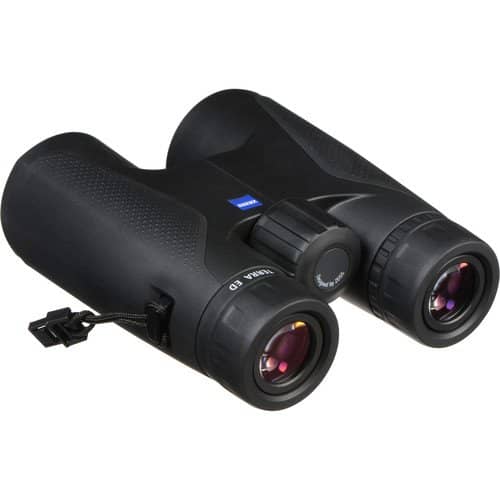 ZEISS Terra ED 8x42 Binoculars (Black/Black)