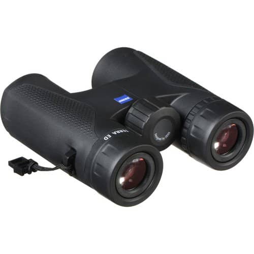 ZEISS Terra ED Compact 10x32 Binoculars (Black/Black)