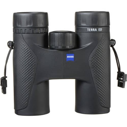 ZEISS Terra ED Compact 10x32 Binoculars (Black/Black)
