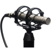 Rode NT5MP Compact 1/2 Cardioid Condenser Microphones (Matched Pair)