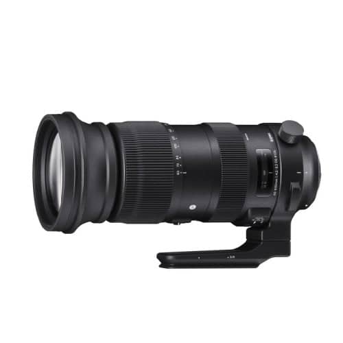 Sigma 60-600mm f/4.5-6.3 DG OS Sports Lens