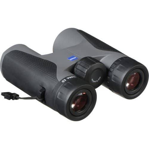 ZEISS Terra ED Compact 10x32 Binoculars (Black/Grey)