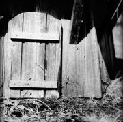 Film Washi F  - ISO 100 / 21° - Medical Fluorographic X-Ray 120 Film