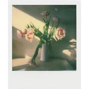 Polaroid Originals Color i-Type Instant Film (8 Exposures)