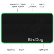 BirdDog Flex 4K Out Full NDI Decoder (Note: Does Not Currently Decode NDI HX|HX2|HX3 Feeds)