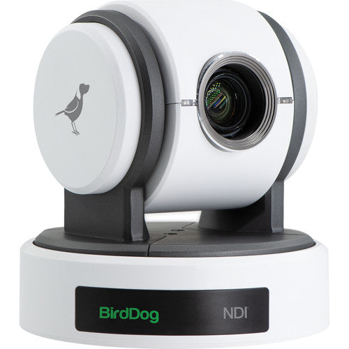 BirdDog Eyes P100 1080P (White)