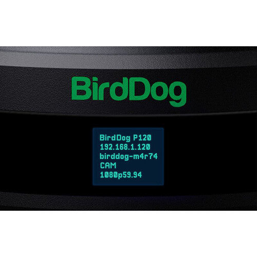 BirdDog P120 PTZ Camera - Black