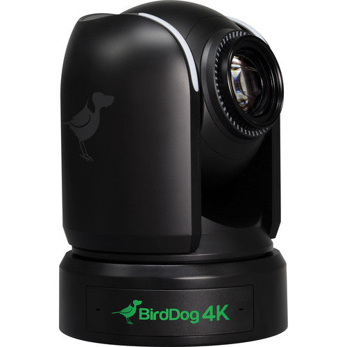 BirdDog P4K 4K Full NDI PTZ Camera with 1