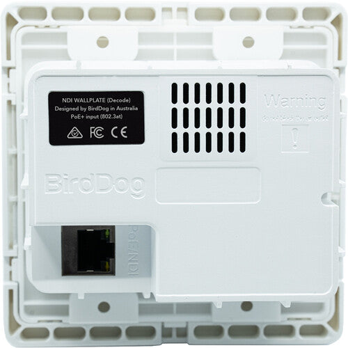 BirdDog Wallplate Dual Output (Note: Does Not Currently Decode NDI HX|HX2|HX3 Feeds)
