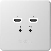 BirdDog Wallplate Dual Output (Note: Does Not Currently Decode NDI HX|HX2|HX3 Feeds)