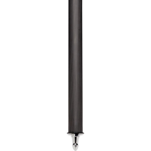 Benro C373F Carbon Fiber Single-Tube Tripod with S8Pro Fluid Video Head