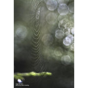 Lensbaby Composer Pro II with Edge 80 Optic For Micro Four Thirds