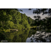 Lensbaby Composer Pro II with Edge 50 Optic Lens for L Mount