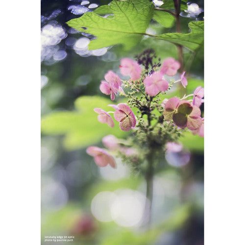 Lensbaby Composer Pro II with Edge 50 Optic Lens for L Mount