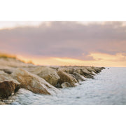 Lensbaby Composer Pro II with Edge 50 Optic Lens for L Mount