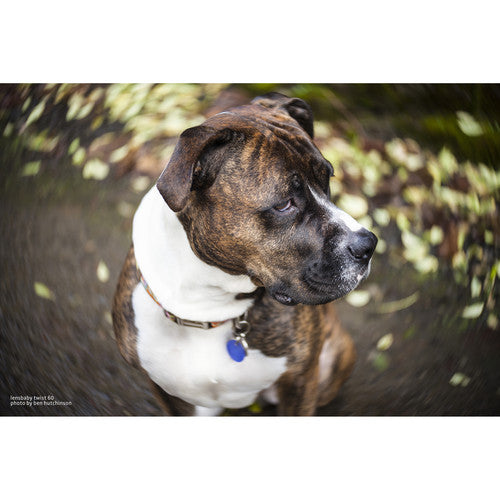 Lensbaby Twist 60mm f/2.5 Lens for Sony E