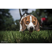 Lensbaby Trio 28mm f/3.5 Lens for Canon M